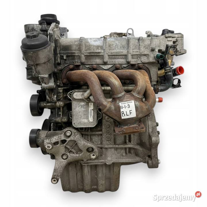 SILNIK BLF Audi A3 II 8P Skoda Octavia II 16 FSI Chełm