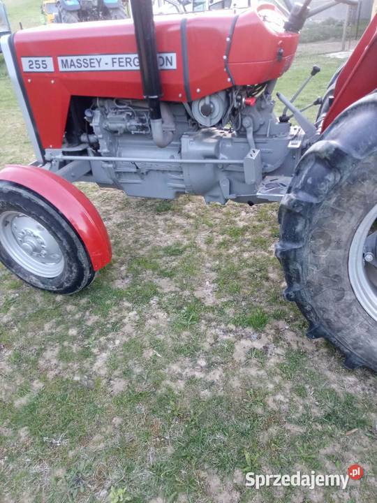 Traktor ciagnik massey ferguson 155 Nowy Sącz