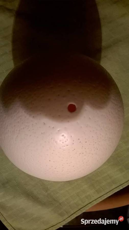 Jajo strusia strusie jajo strusia wydmuszka Warszawa