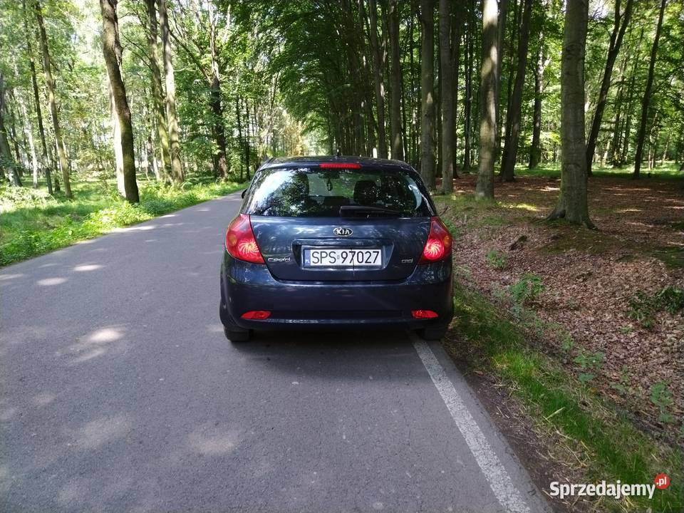 KIA CEED 2009 KLIMATYZACJA SPRAWNA ZADBANA Wisła Wielka