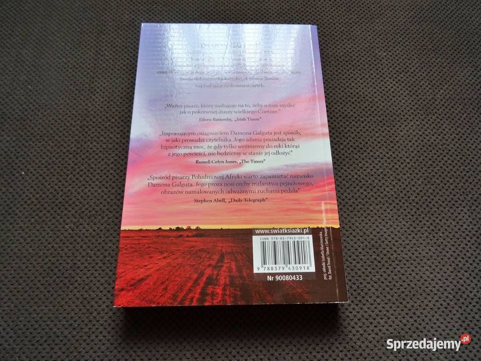 W obcym pokoju Damon Galgut Częstochowa