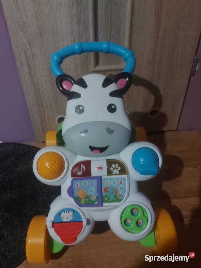 Chodzik fisher zebra warmińsko-mazurskie Rogiedle