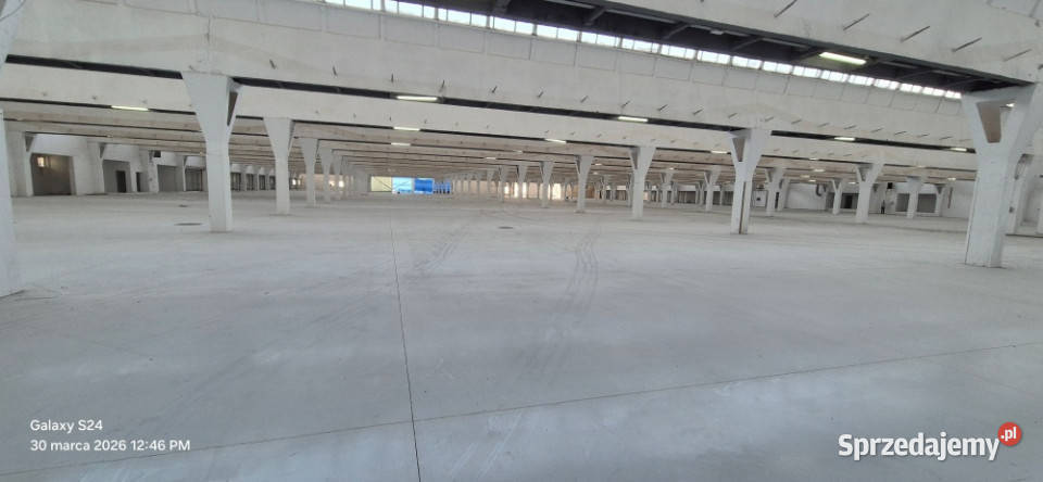 Hala magazynowa 12500m2 Ozorków
