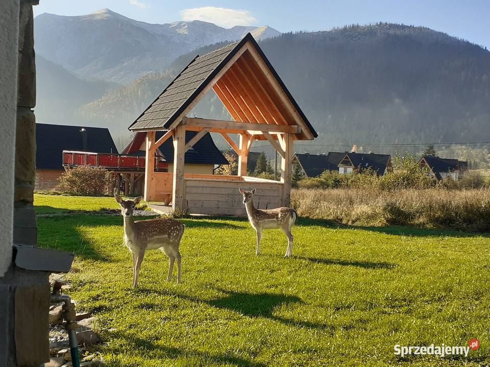 Z WIDOKIEM Weekend wakacje Zakopane Kościelisko