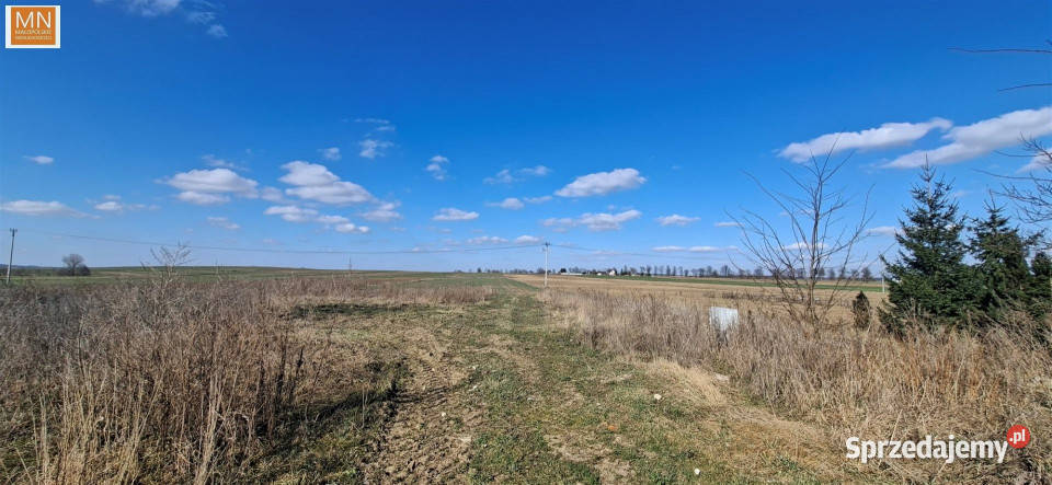 Grunt PrandocinIły 1604m2 Sprzedaż