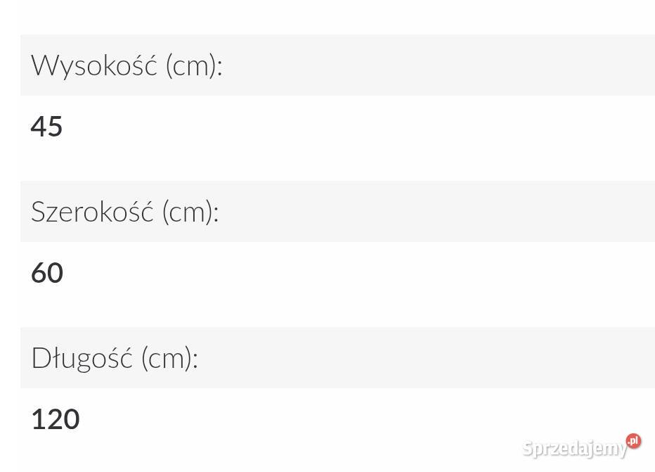 Nowa ława Dionizos Kraków