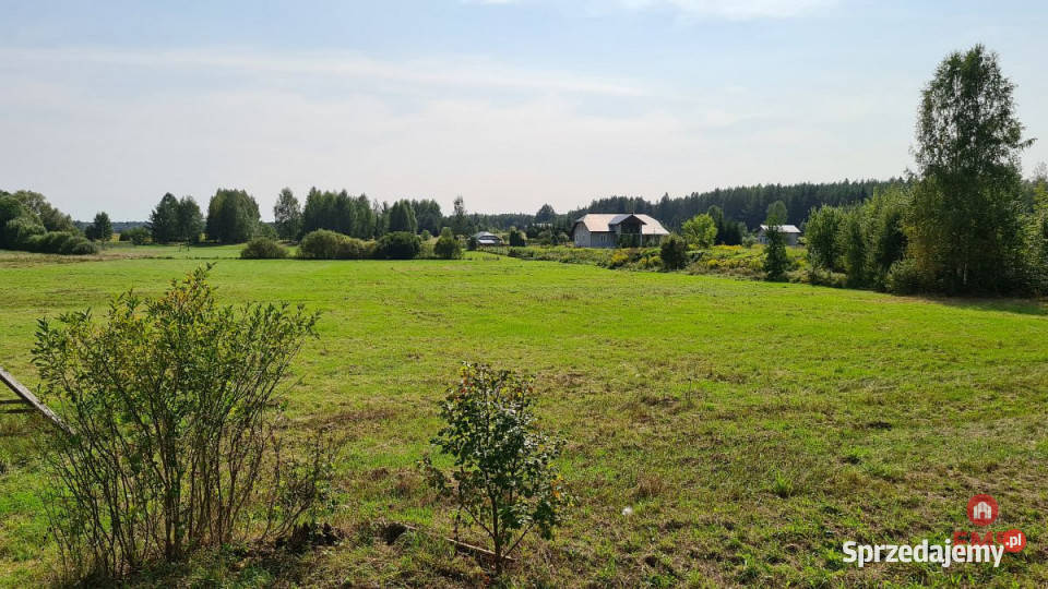 Działka 7357m2 Królowy Most