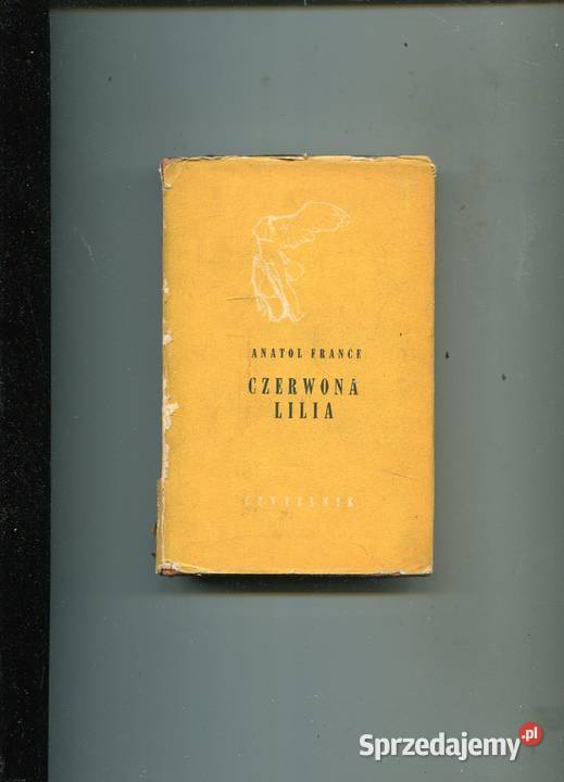 Czerwona lilia Anatol France Szczecin sprzedam