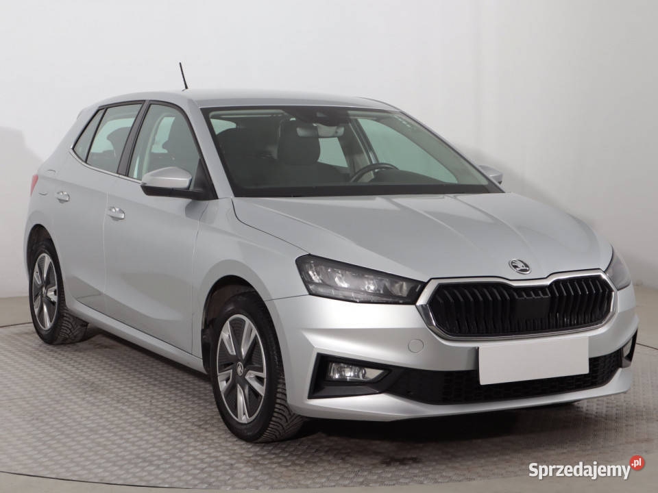 Skoda Fabia 10 TSI radio Katowice