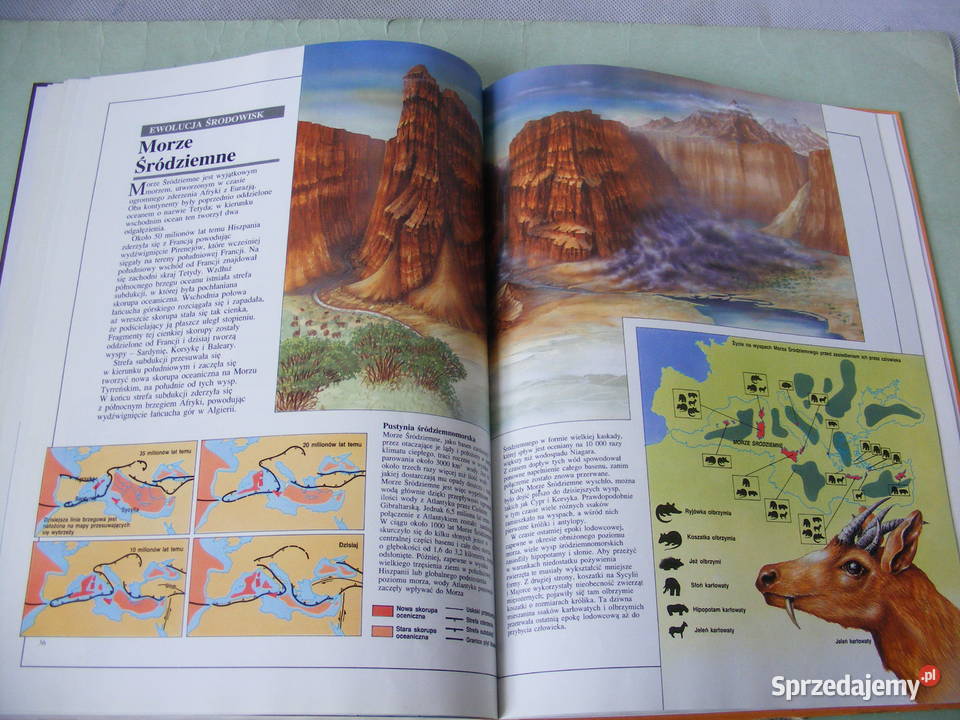 Moja pierwsza książka Przyroda Atlas świata Oborniki Śląskie