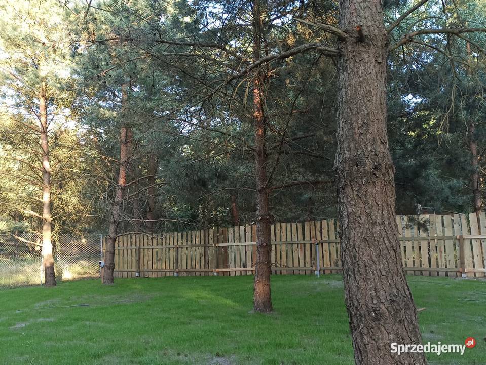 Działka jeziorem Suszewskim i Budzisławskim