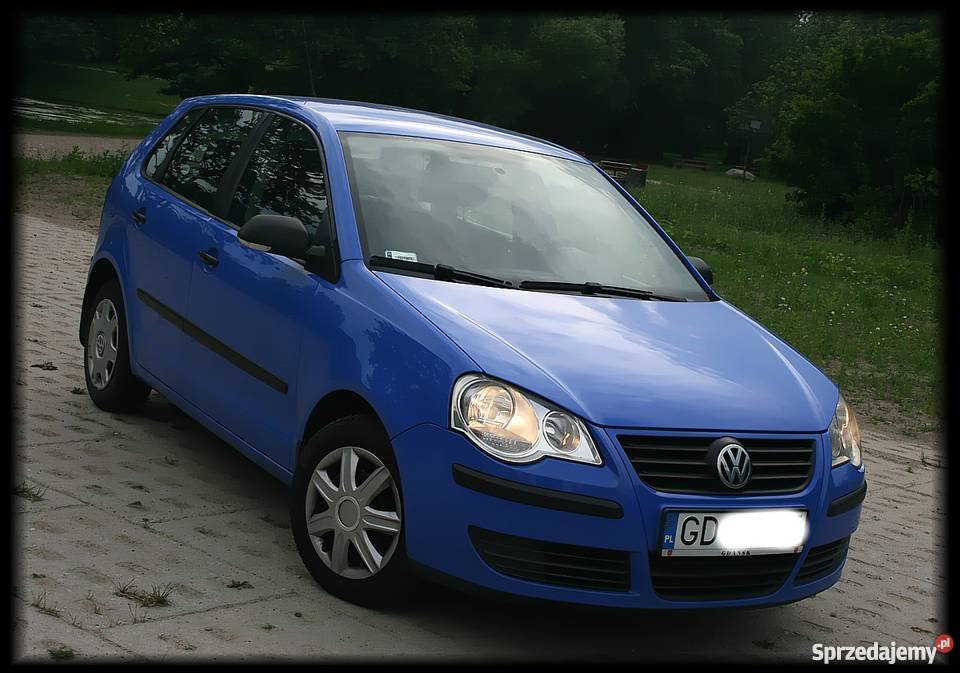 Niebieskie Polo Gdańsk