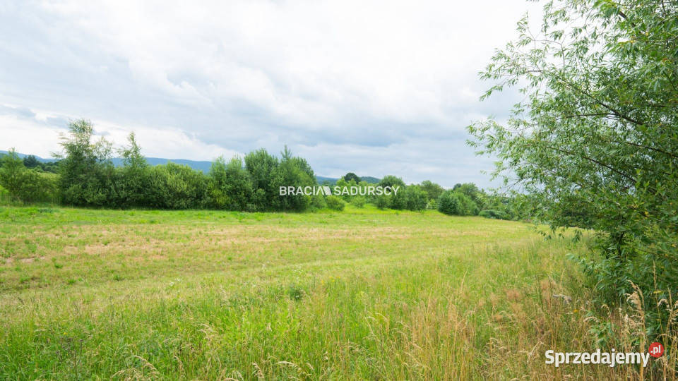 Sprzedaż lokalu 598m2 Jaroszowice 598m2 sprzedam