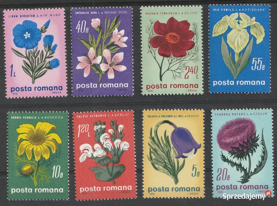 RUMUNIA KWIATY 1970 CZYSTE sprzedam