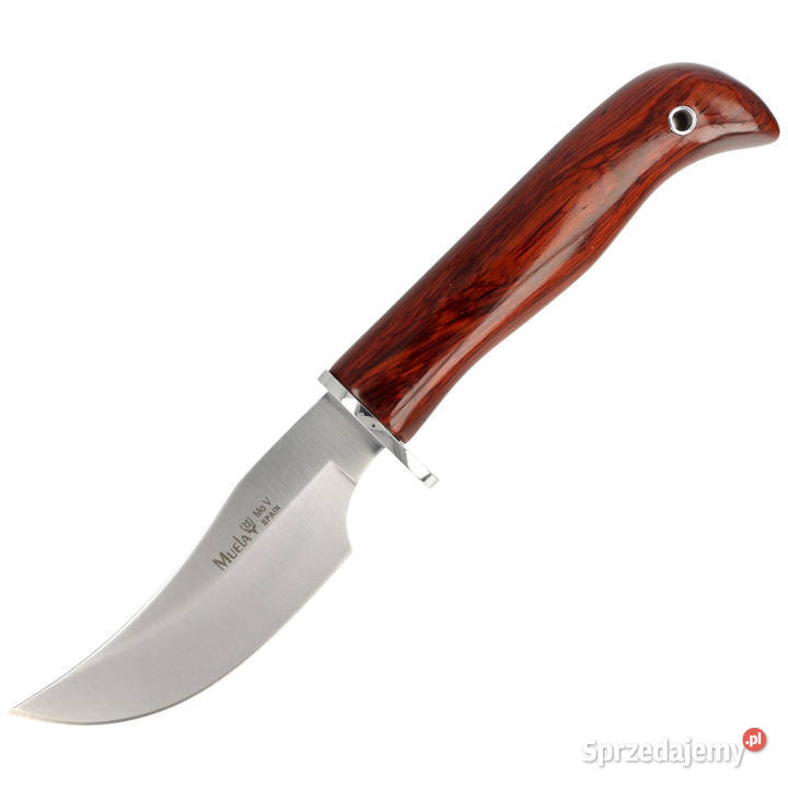 Nóż Muela Coral Wood Satin X50CrMoV15 DP10R Warszawa