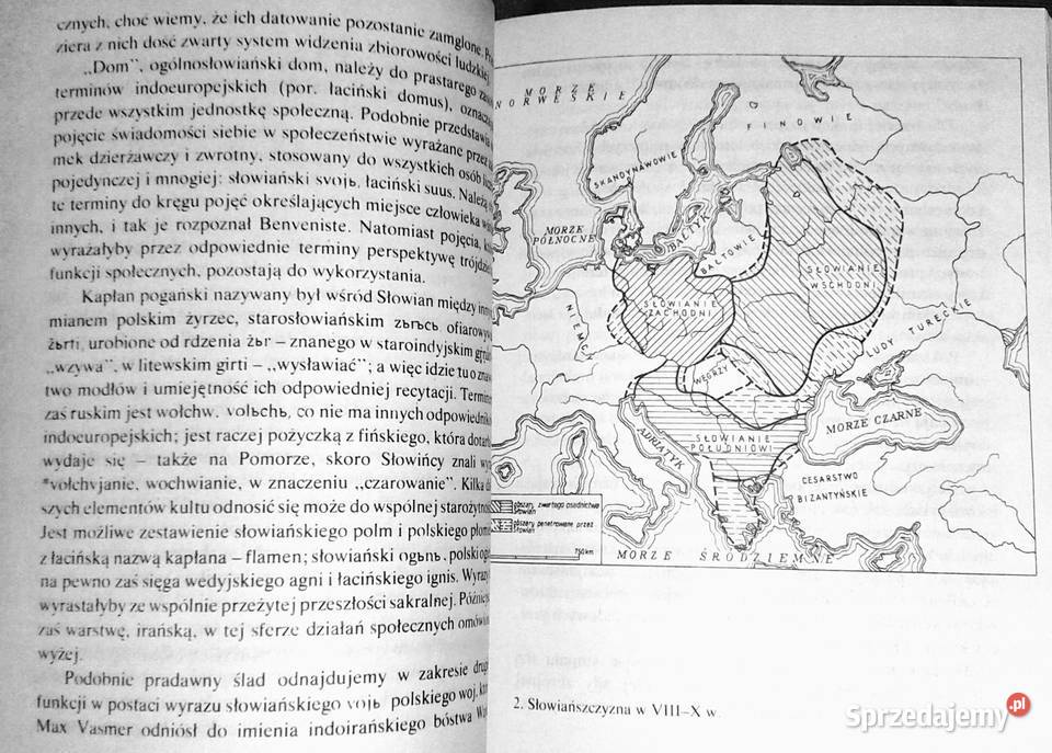 Mitologia Słowian Aleksander Gieysztor lubelskie Chełm sprzedam