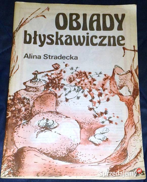 Obiady błyskawiczne Alina Stradecka Chełm