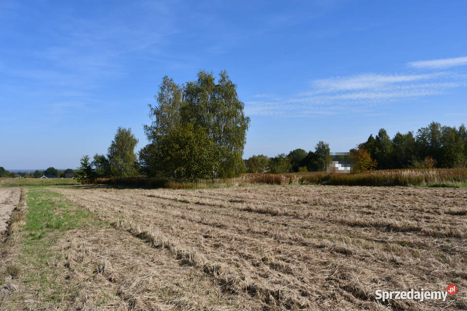 Działka rolna 43a Strażów