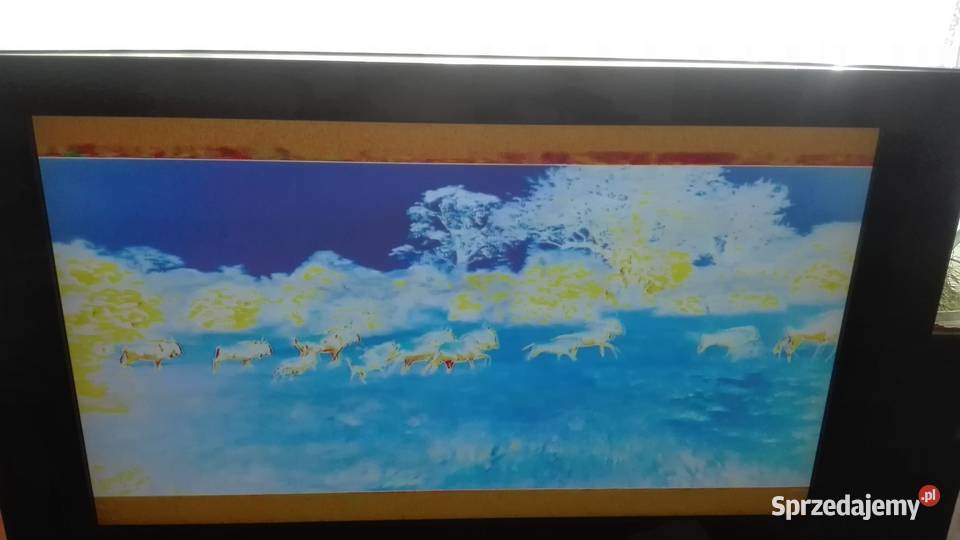 telewizor LCD Samsung 37 LE37S62B uszkodzony