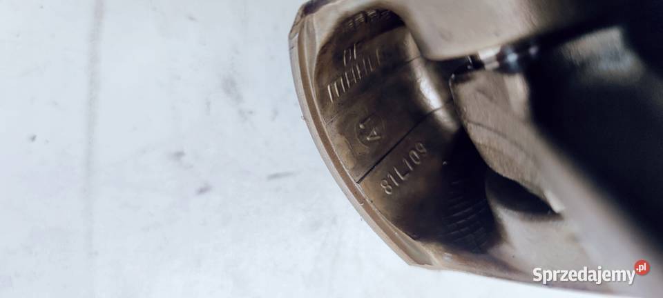 TŁOK KORBOWÓD AUDI A6 C6 24 BDW 06EB 81L109 Blok silnika Przystajń