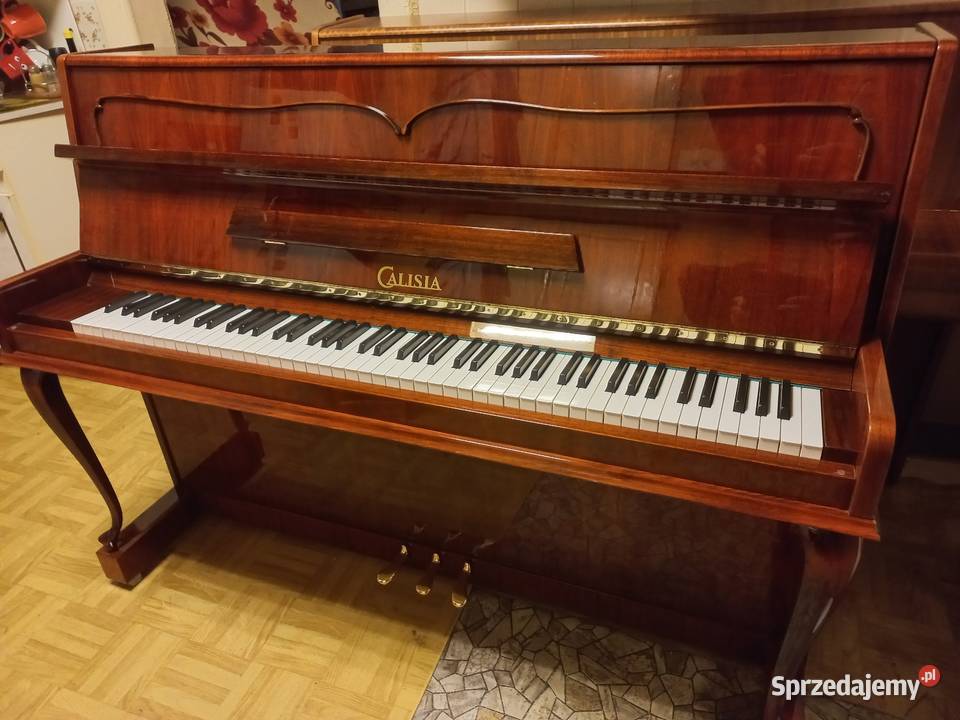 Pianino Calisia model Chippendalle stan nowe małopolskie Bochnia