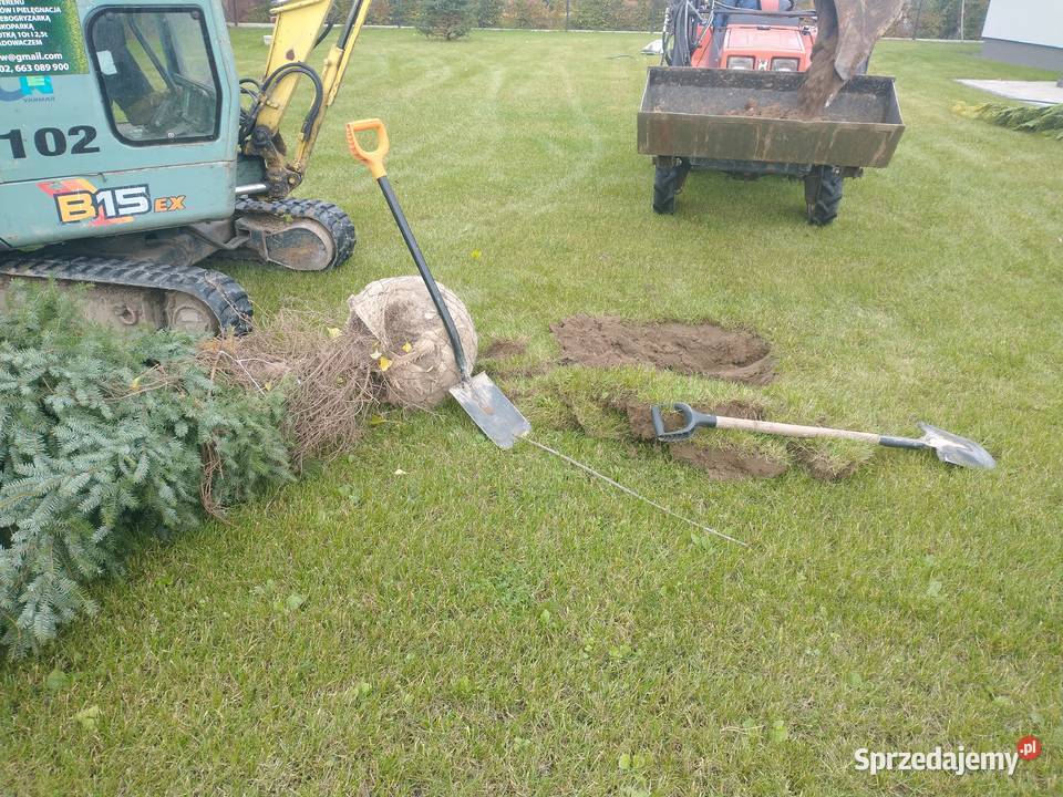 Prace ogrodnicze jesienne porządki karczowanie Wrocław