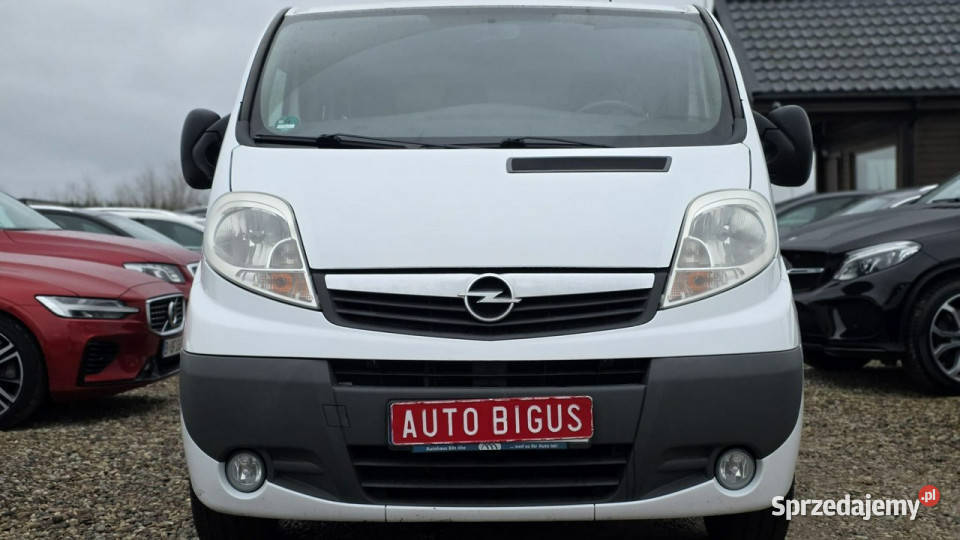 Opel Vivaro 9 Osobowy Long Klima I 20012014