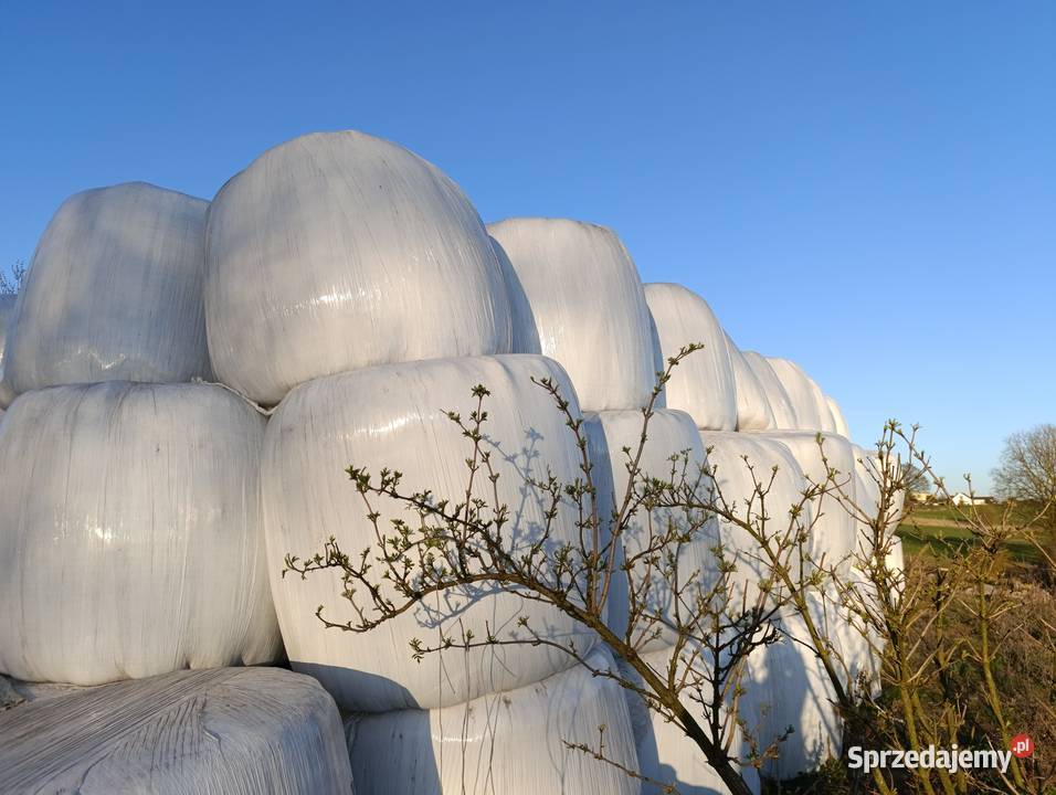Siano sianokiszonka Ostrów Mazowiecka sprzedam