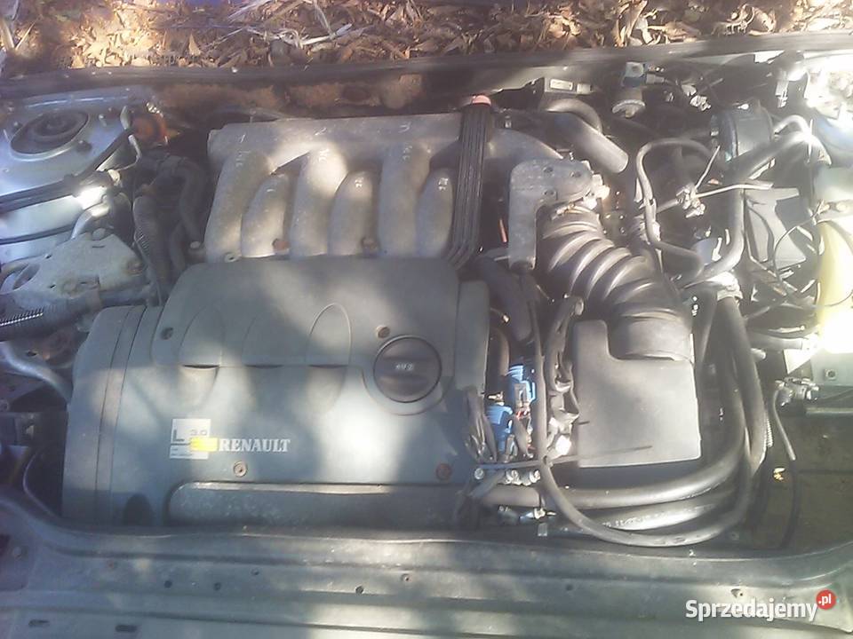 renault laguna 1 Bychawa