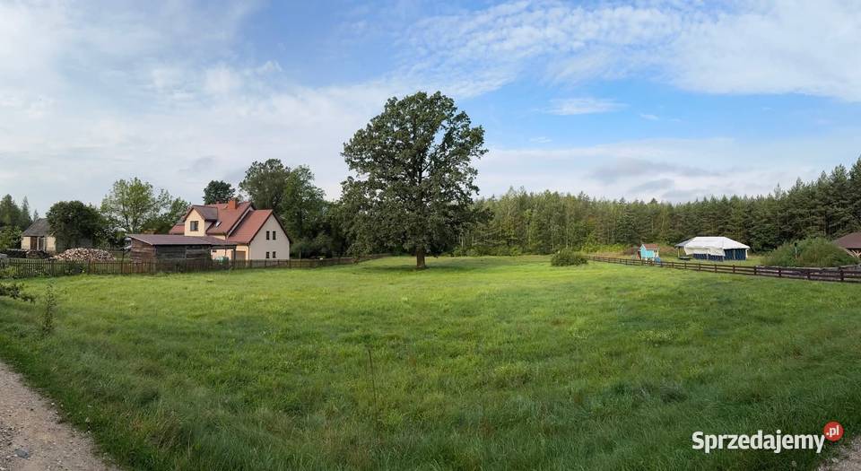 Działka budowlana o pow 3 499 m we wsi Jeże