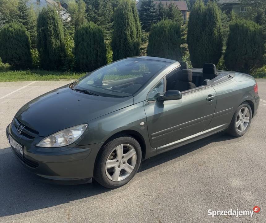 Peugeot 307 CC 20 benzyna 2004r Cabrio