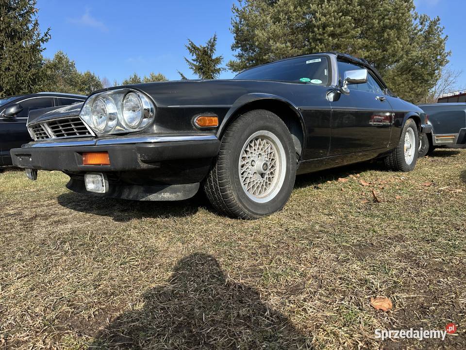JAGUAR XJ12 53i świętokrzyskie Bliżyn