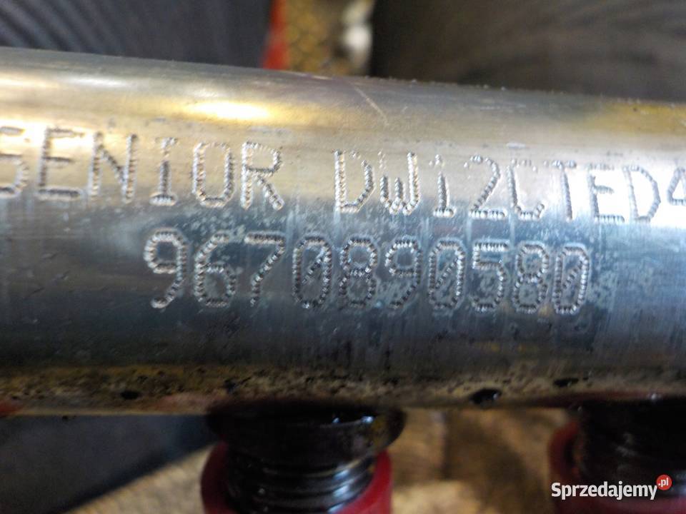 FREELANDER XF EVOQUE 22 SD4 TD4 12r 224DT listwa świętokrzyskie Suków