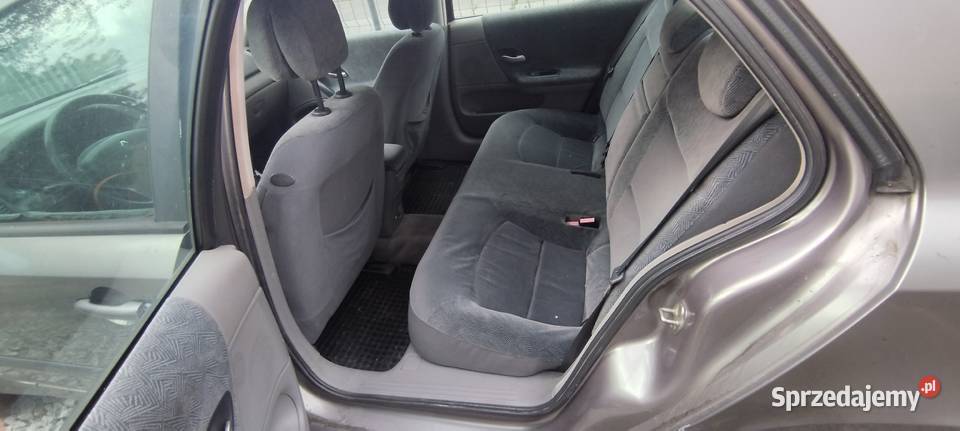 Laguna z GAZEM Wrocław