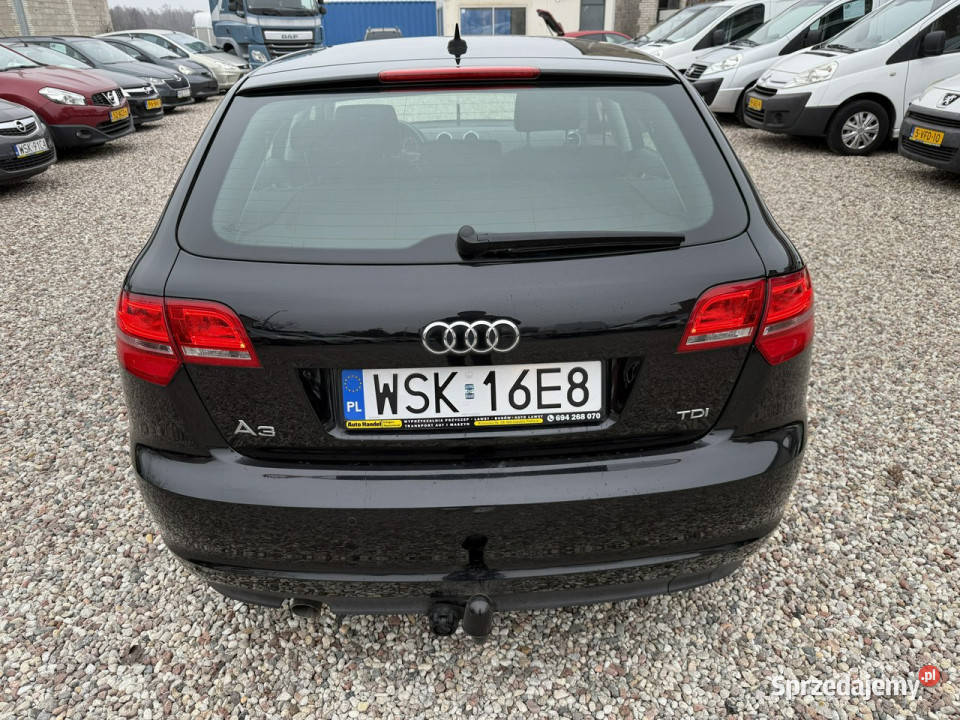 Audi A3 Audi A3 Lift 16Tdi 2012r Xenon Led czujnik parkowania Sokołów Podlaski