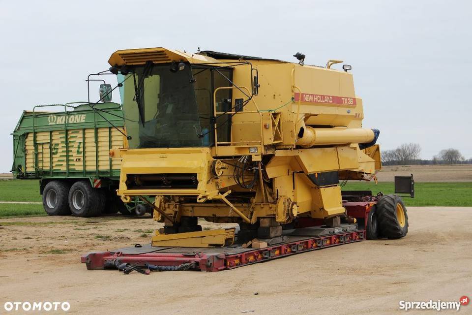 Holland TX36 tx34 Sokoły