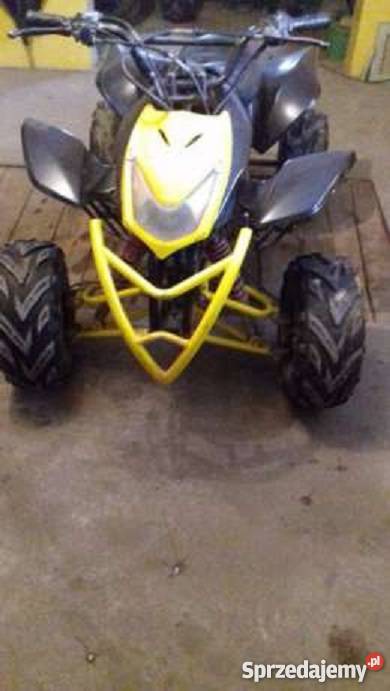 Quad 110 Bashan Sierakowice