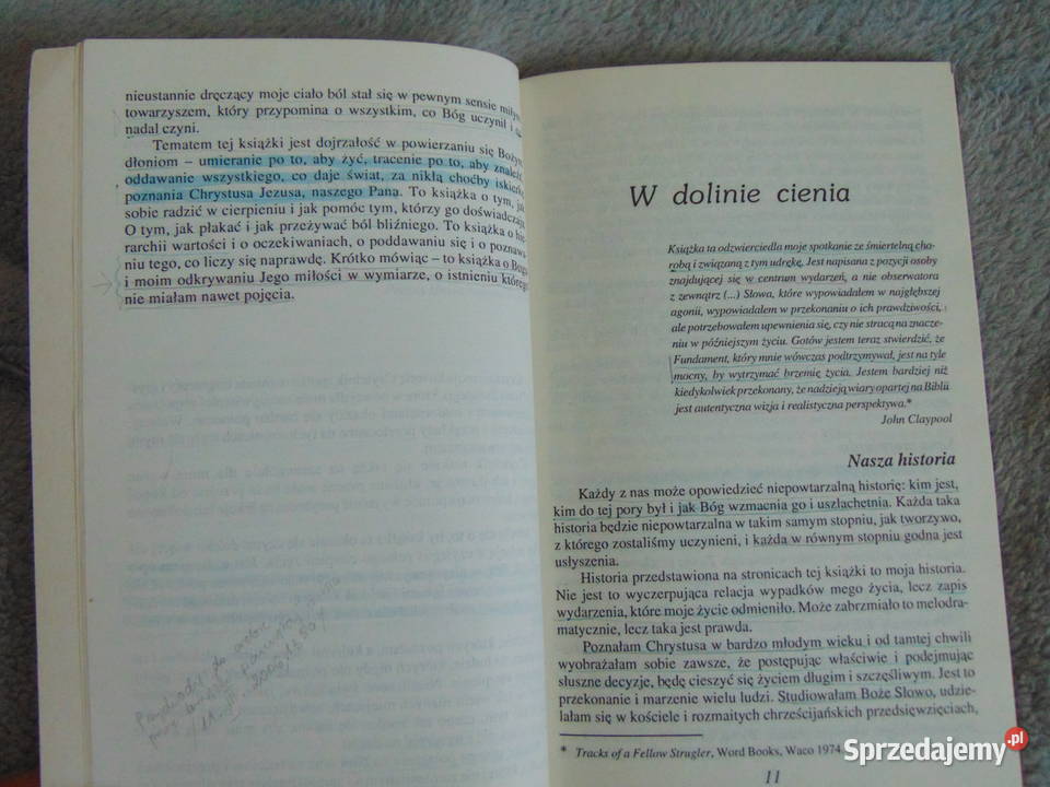 W dolinie cienia Shelley Chapin lubelskie Lublin sprzedam