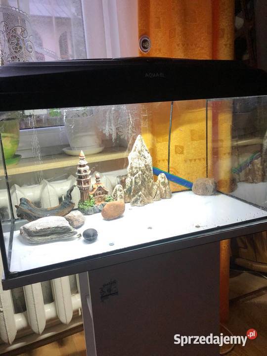 akwarium aquael 60l Księżpol