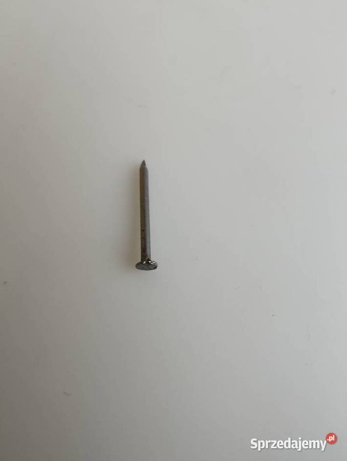 Gwoździe gwoździki 20 x 12 mm sztuk 12 Olecko