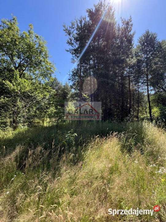 sprzedaży gruntu 1000m2 Nowe Racibory mazowieckie