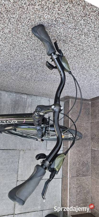 Rower sektor trekking 10 Goczałkowice-Zdrój