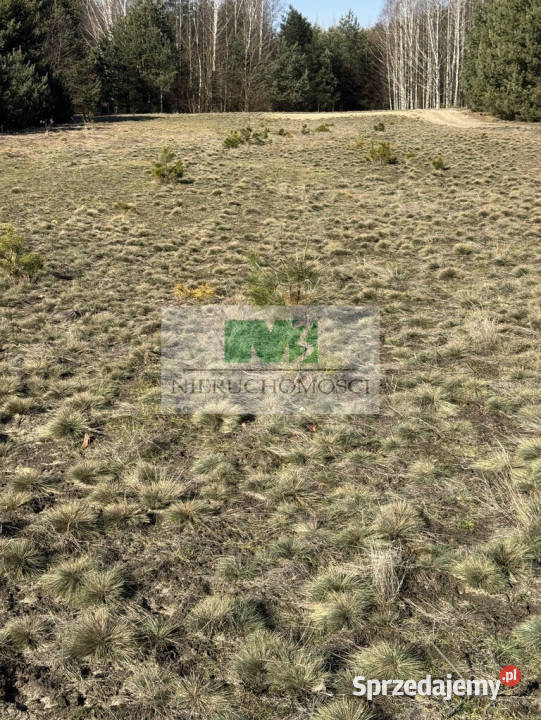 DO SPRZEDAŻY DZIAŁKA W JELNEJ OSIEDLE BORKI Jelna