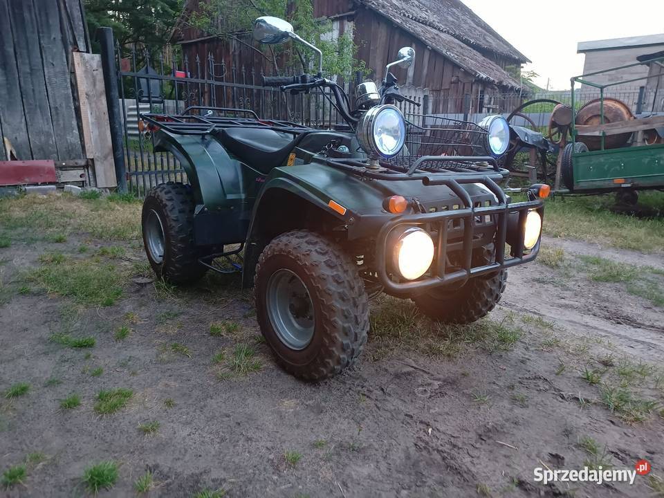 Quad Logan ST 250 Rok produkcji 2006 Pyzdry