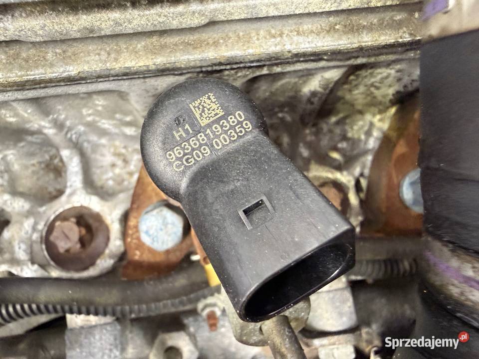 SILNIK RHY Peugeot 307 406 Partner Citroen C5 sprzedam