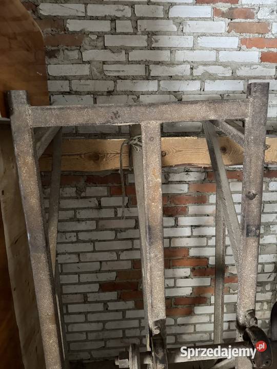 Cerkularka krajzega lubelskie