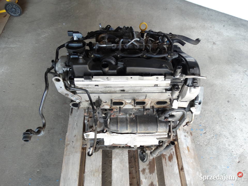 VW PASSAT B8 GOLF 7 VII AUDI A3 8V SILNIK 20 TDI Łosieniec