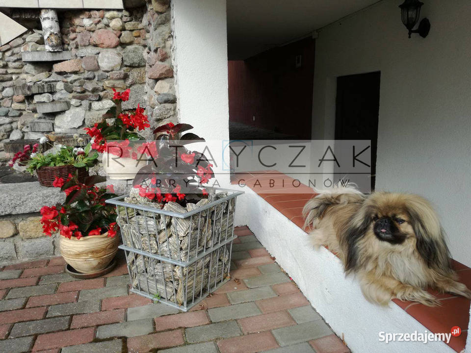 Gabiony producent kosze gabionowe na wymiar 5 Dom i Ogród Mińsk Mazowiecki