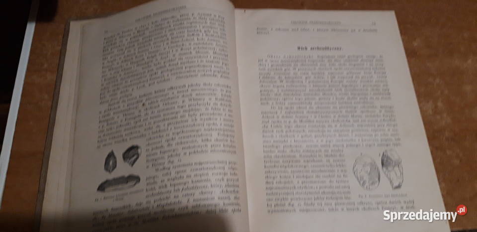 Zarys Dziejów Malarstwa13 Narkiewicz wielkopolskie Iwno sprzedam