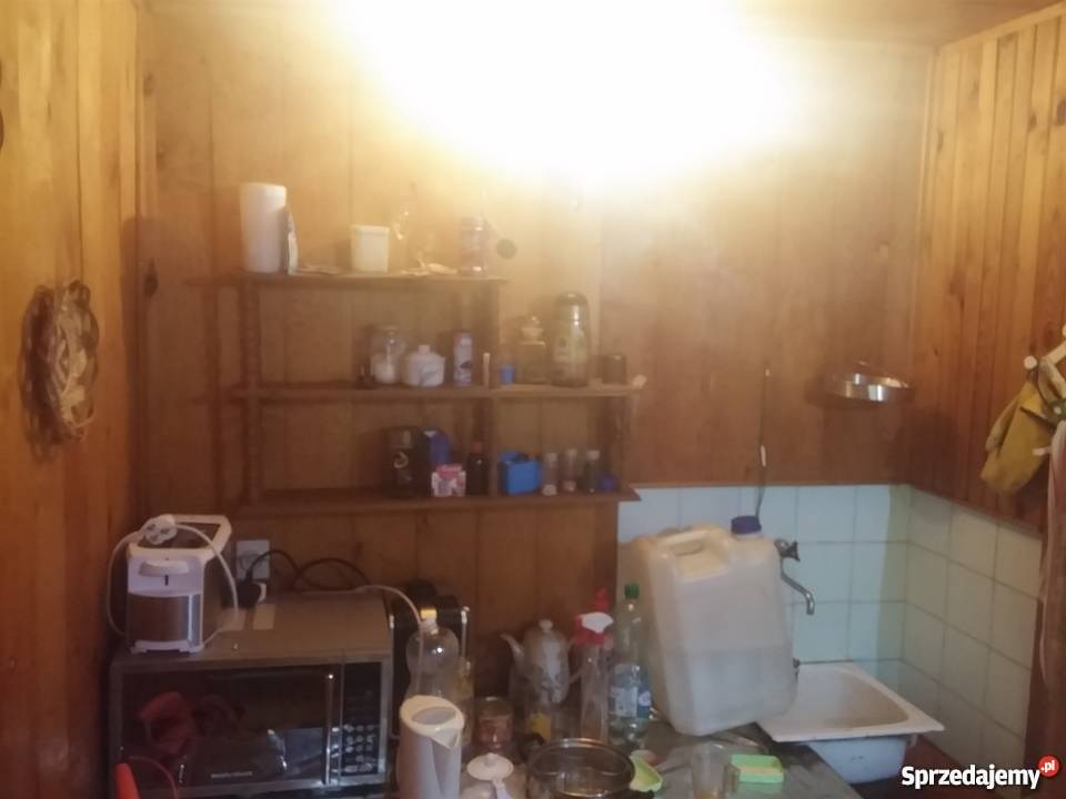 Działka ROD Darzynka prąd woda drzewka owocowe prąd Poznań